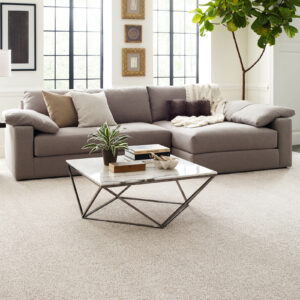 Living room flooring | Rodgers Floor Covering