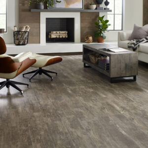 Paramount Plus flooring | Rodgers Floor Covering