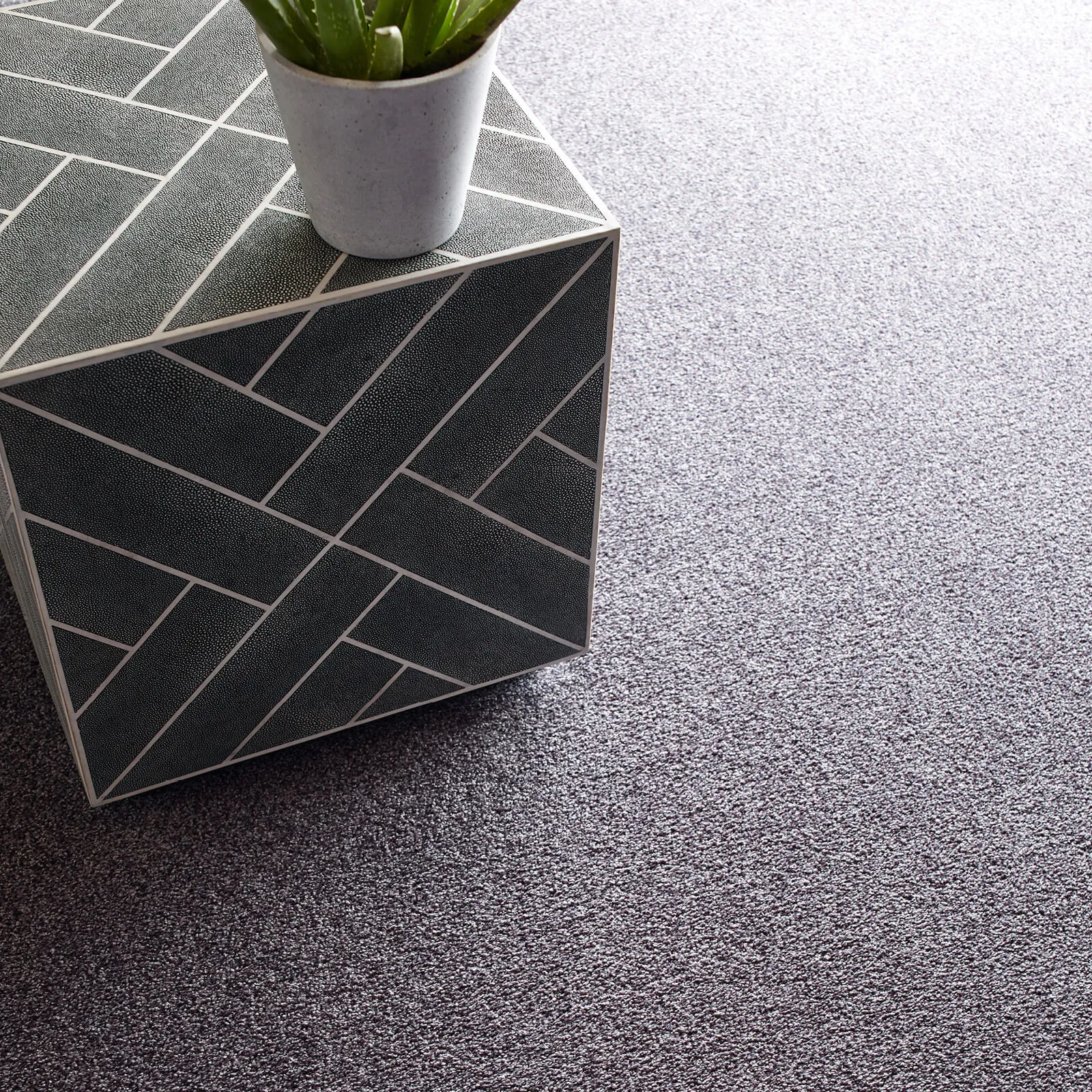Soft carpet | Rodgers Floor Covering